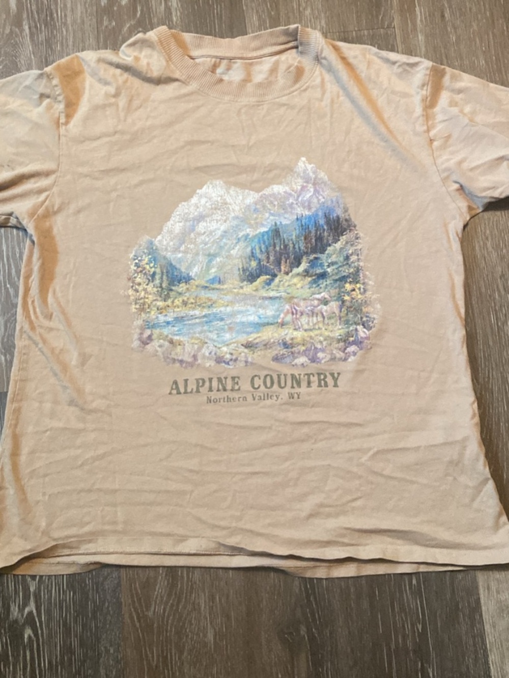 Cotton On Alpine Country Graphic Tee